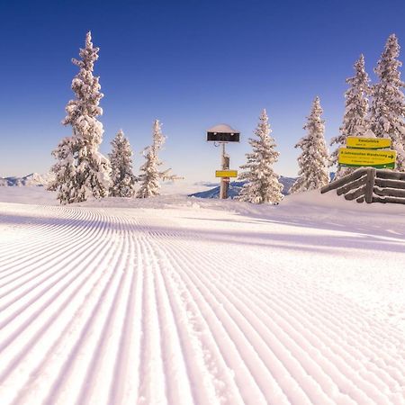 Appartement Schladming Neu Екстер'єр фото