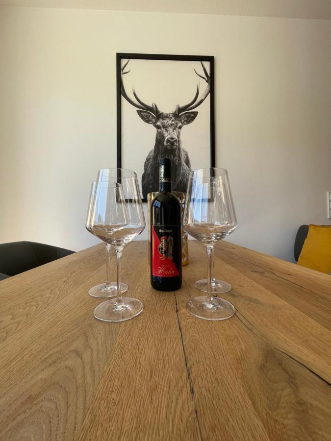 Appartement Schladming Neu Екстер'єр фото